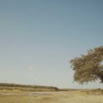 “Alma del desierto” llega a las salas de cine